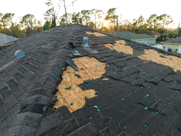 Best Roof Ventilation Installation  in Three Oaks, FL